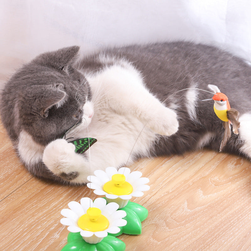 Electric bird teasing cat toy