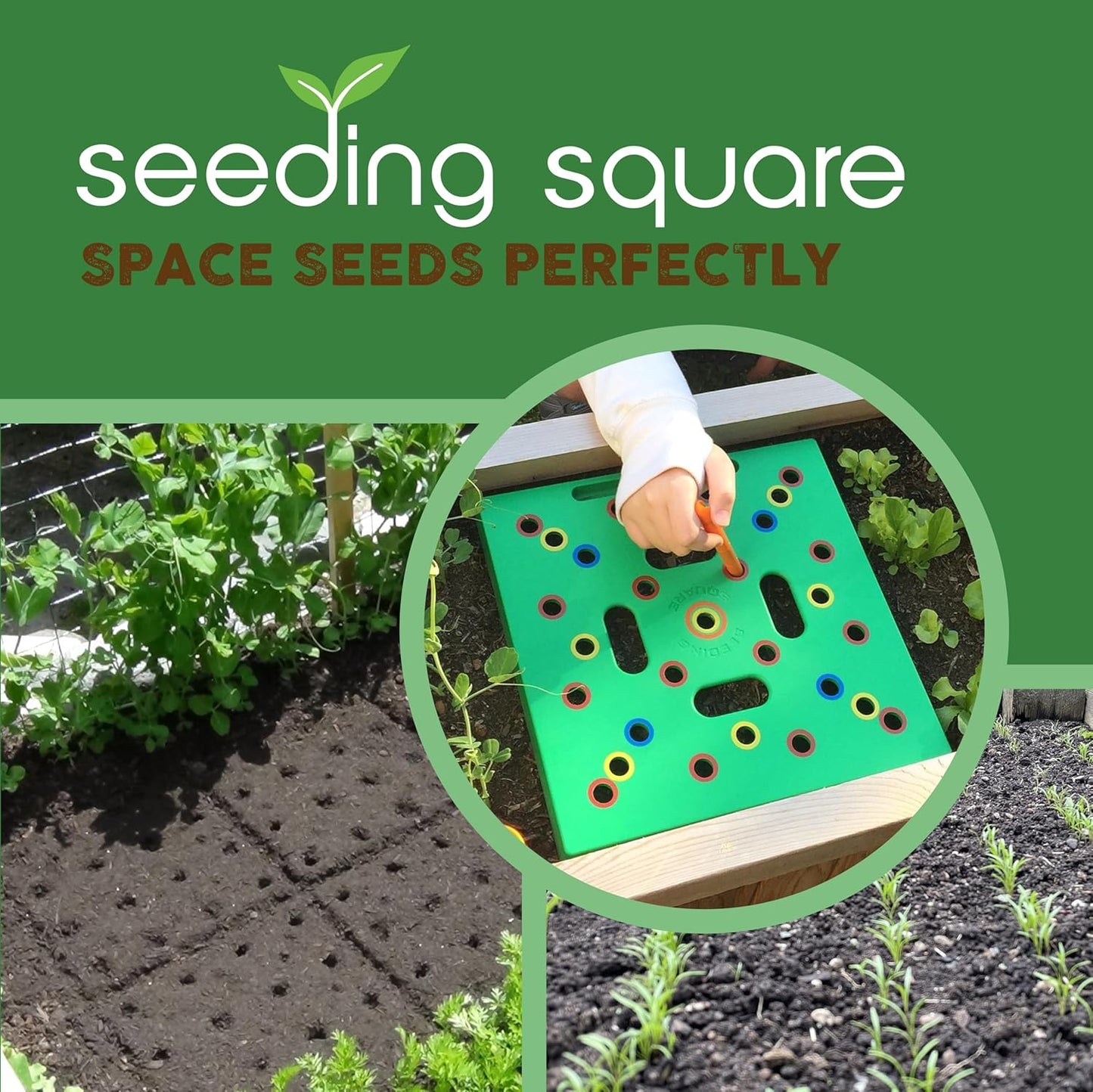 Plant Spacing Seeding Square for Bigger Yields