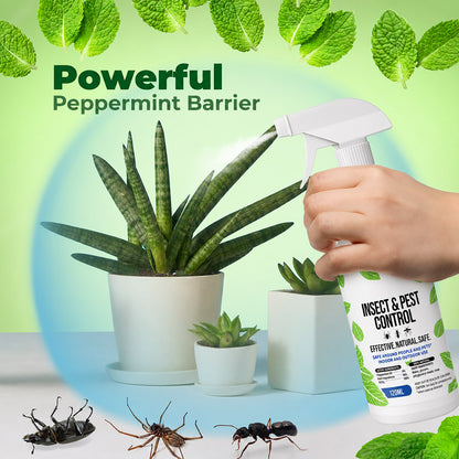 Natural Peppermint Oil Bug Spray, Indoor & Outdoor Use