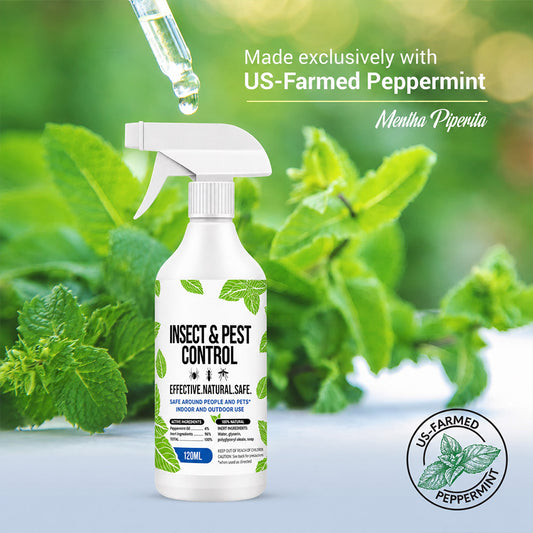 Natural Peppermint Oil Bug Spray, Indoor & Outdoor Use