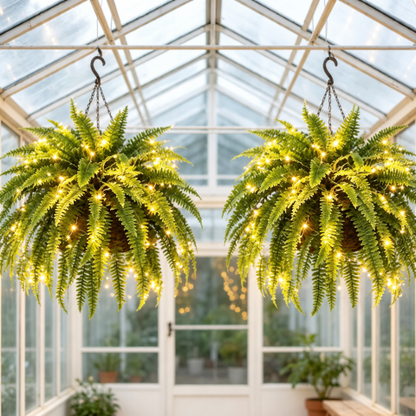 💛 Glowing Boston Ferns with Lights – 🌿 Zero Watering, Zero Maintenance