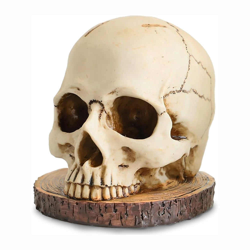 Creative Skull Resin Knife Holder