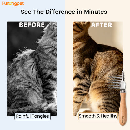 Deep Detangling Dematting Brush for Thick Curly Dog Coats