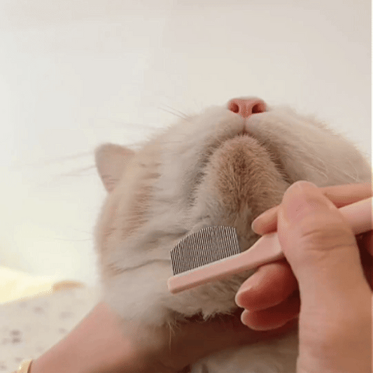 Pet Grooming Comb Set