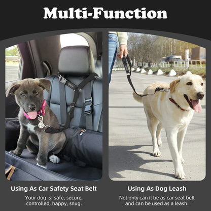 2-in-1 Dog Car Seat Belt & Walking Leash