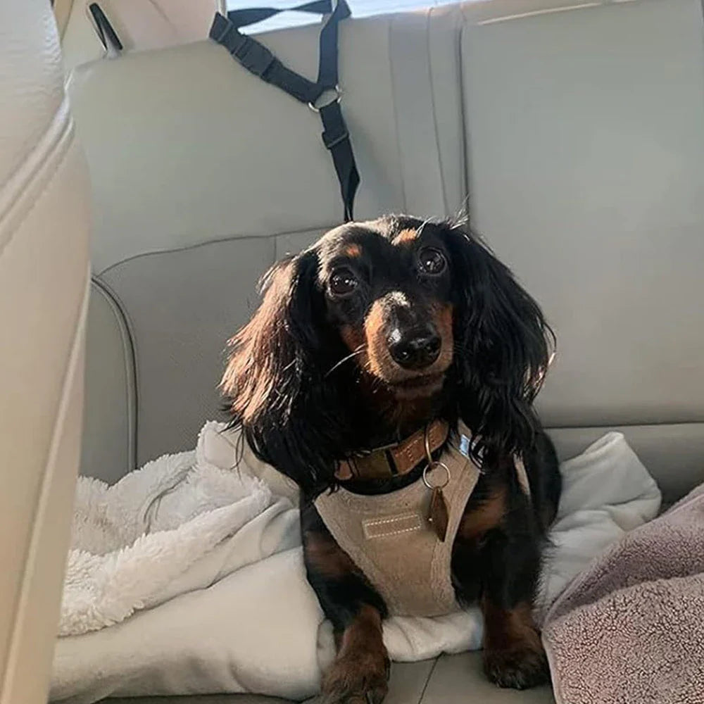 2-in-1 Dog Car Seat Belt & Walking Leash