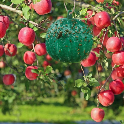 Hanging Sticky Fruit Fly Traps, Eco-Friendly