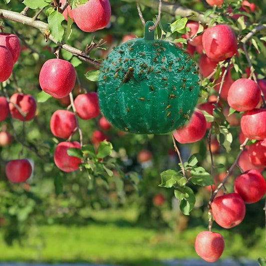 Hanging Sticky Fruit Fly Traps, Eco-Friendly