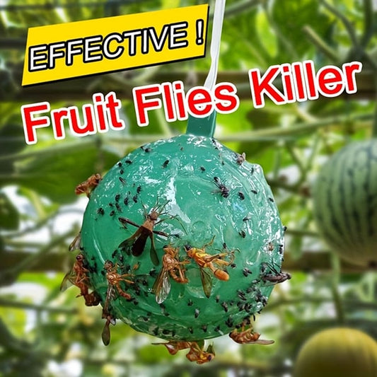 Hanging Sticky Fruit Fly Traps, Eco-Friendly