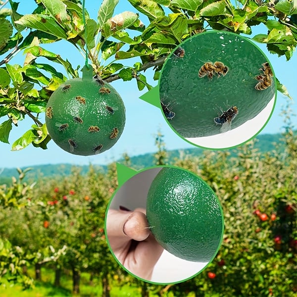Hanging Sticky Fruit Fly Traps, Eco-Friendly